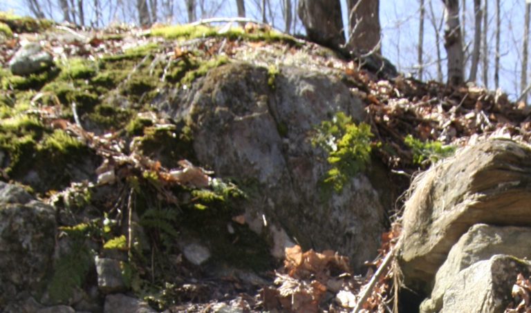 zoomed in shot of stone foundation that marks the site of a former Marlboro sugarhouse