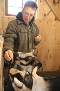 Alison feeding goats