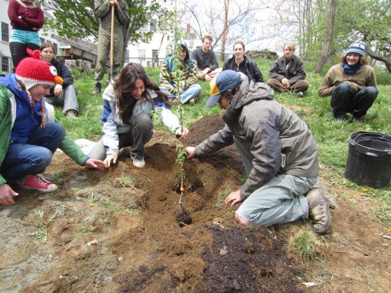 Students planing nursery trees