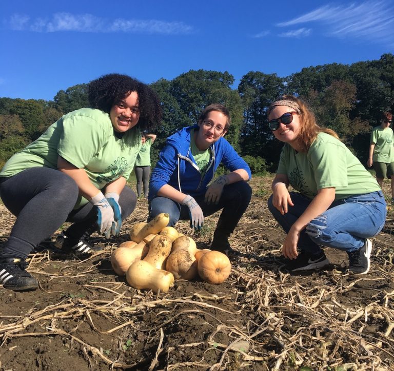 Students sitting around a pile of squash