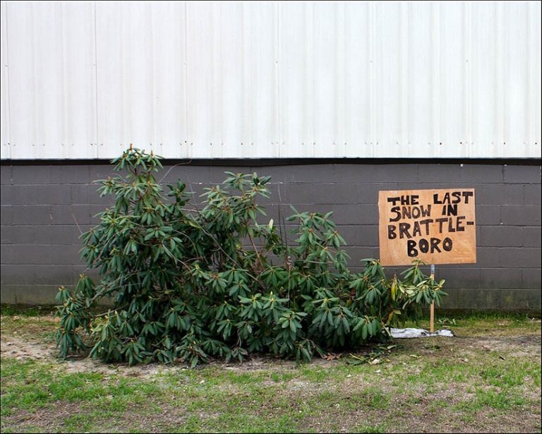 tree branches on ground with sign that reads "The Last snow in Brattle-Boro"