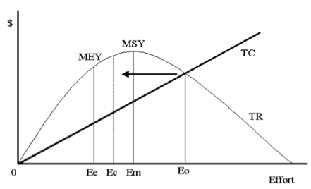 Graph on money versus Effort