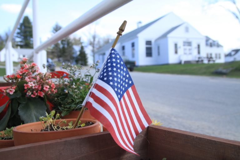 small American flag in pot